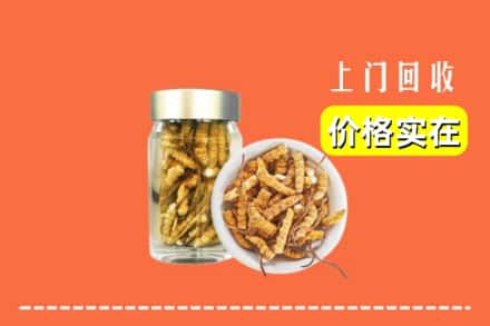 收购资讯:焦作山阳区回收散虫草