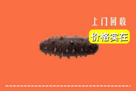 收购资讯:焦作山阳区回收海参