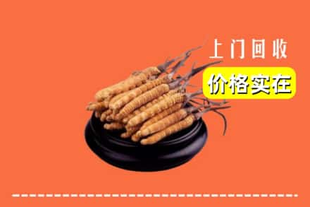 焦作山阳区回收冬虫夏草