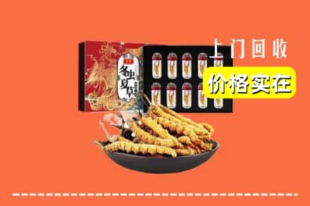 焦作山阳区回收虫草