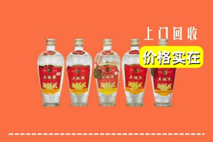 焦作山阳区回收老五粮液